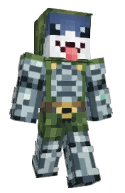 Skin preview