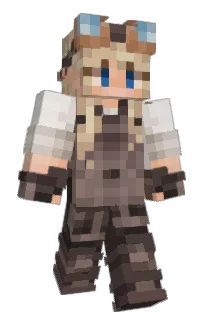 Front of theVioLynn's skin