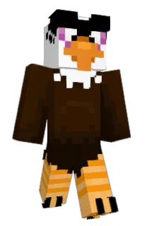 Front of Acer8504's skin