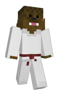 Front of sajgonek27's skin