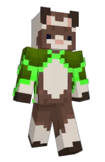 Front of Archer_ferret's skin
