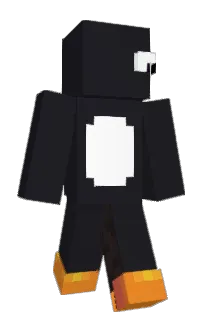Front of arhamlol's skin