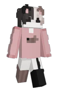 Front of aster5019's skin