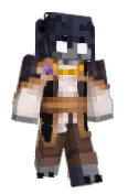 Aerelium
