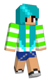 Skin preview