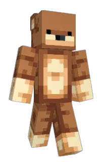 Front of TisHoodie's skin