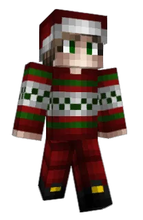 Front of Minecraft skin