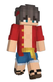 Front of Minecraft skin