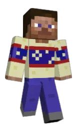RyPorter22's Minecraft skin wearing the Migrator cape