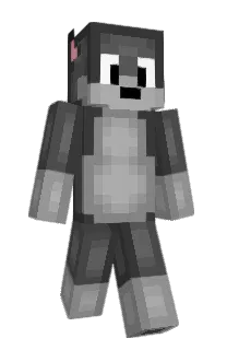 Front of Whocl's skin