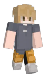 Minecraft skin — Classic model