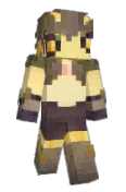 nnichhe