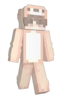 Front of Minecraft skin