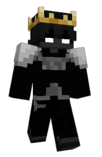 Front of OviBionx's skin
