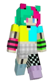 Skin preview