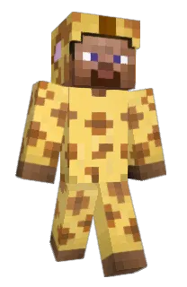 Front of tfso's skin