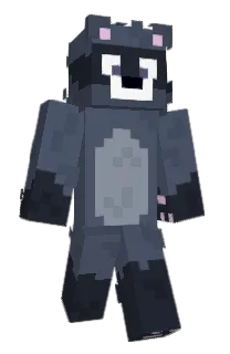 Front of Lpass's skin