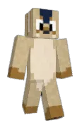 TwigTheCoyote
