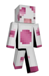 Front of emsmc's skin