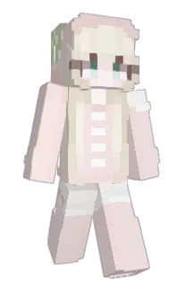 Front of IIGX's skin