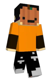 Front of renaill's skin