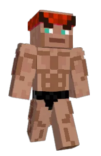 Front of pellle2's skin