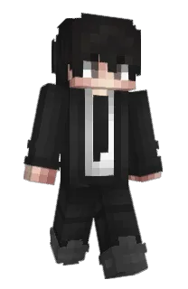 Front of fona's skin