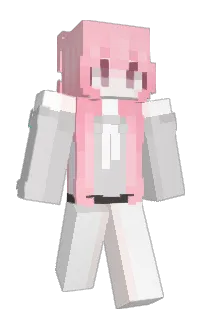 Attendez_'s Minecraft skin