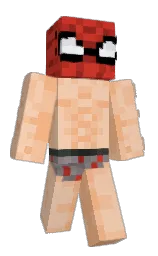 Minecraft skin — Classic model
