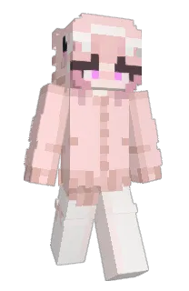 Front of Shmecknt's skin