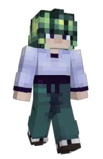 Front of Mr_Gagar's skin