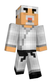 flowflow_510's Minecraft skin