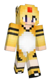 Skin preview