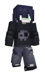 Minecraft skin — Classic model