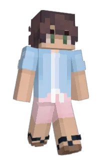 Front of Verificar's skin