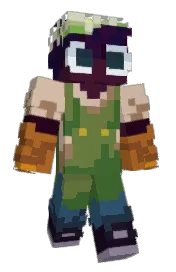 Skin preview