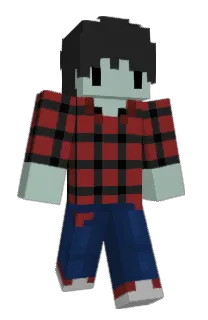 Front of Minecraft skin