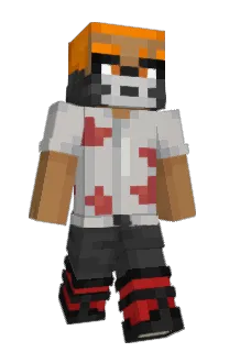 Front of Rogueflyer08's skin