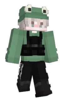 Front of 1Bagel's skin