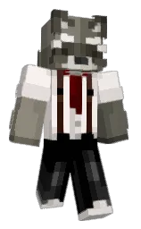 Minecraft skin — Classic model