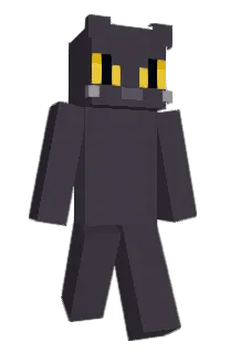 Front of ozwa's skin