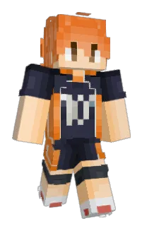 Front of Minecraft skin