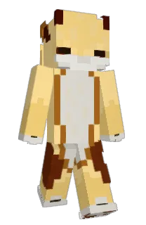 Front of ezb's skin
