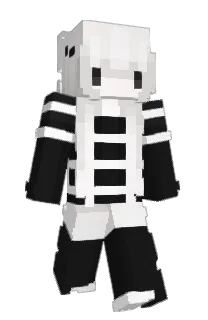 Front of 2RAE's skin