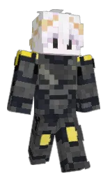 shark and charade Minecraft skin — Classic model