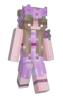 Front of WalterWhite58's skin