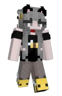 Front of astronotty's skin