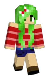 Skin preview