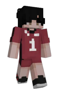 Front of Minecraft skin