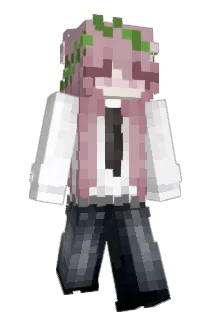54vy Minecraft avatar full body